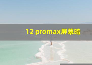 12 promax屏幕暗